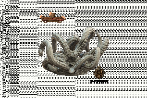Kraken20 at
