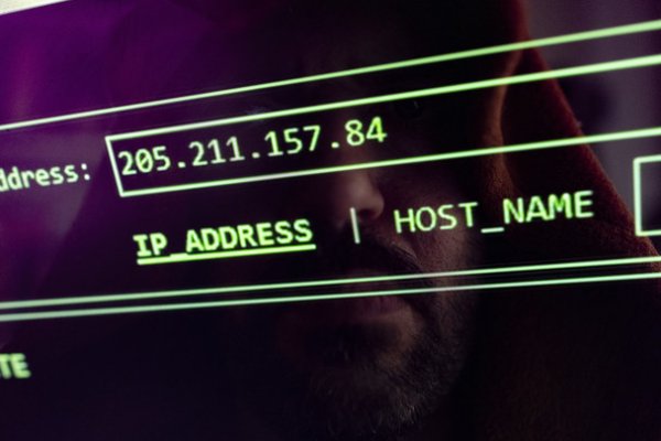 Kraken url