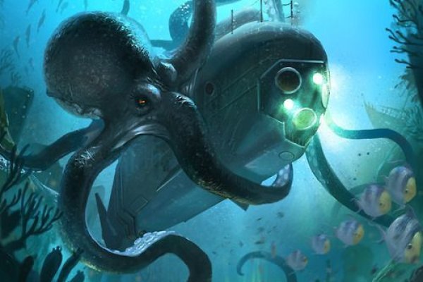 Kraken official