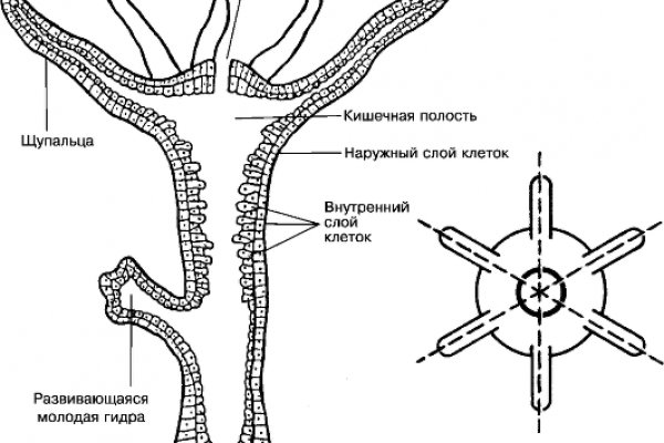 Регистрация на кракен